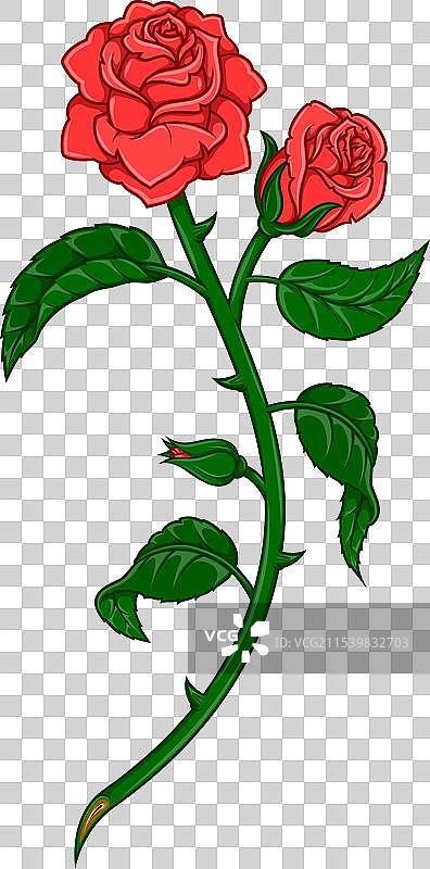 带叶子和花瓣的玫瑰花束图片素材