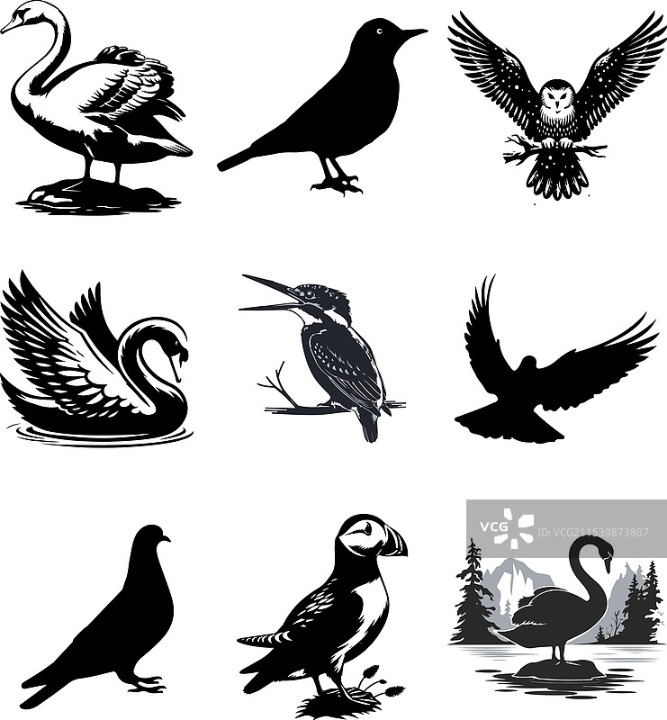 鸟类剪影套装图片素材