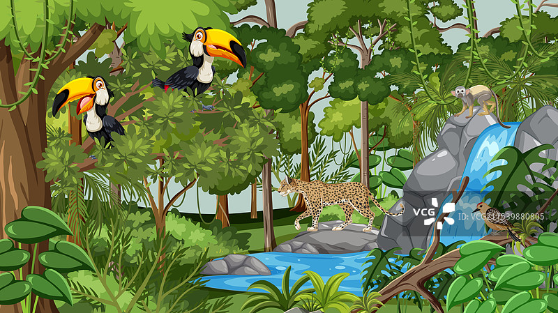 色彩斑斓的巨嘴鸟、豹子和瀑布图片素材