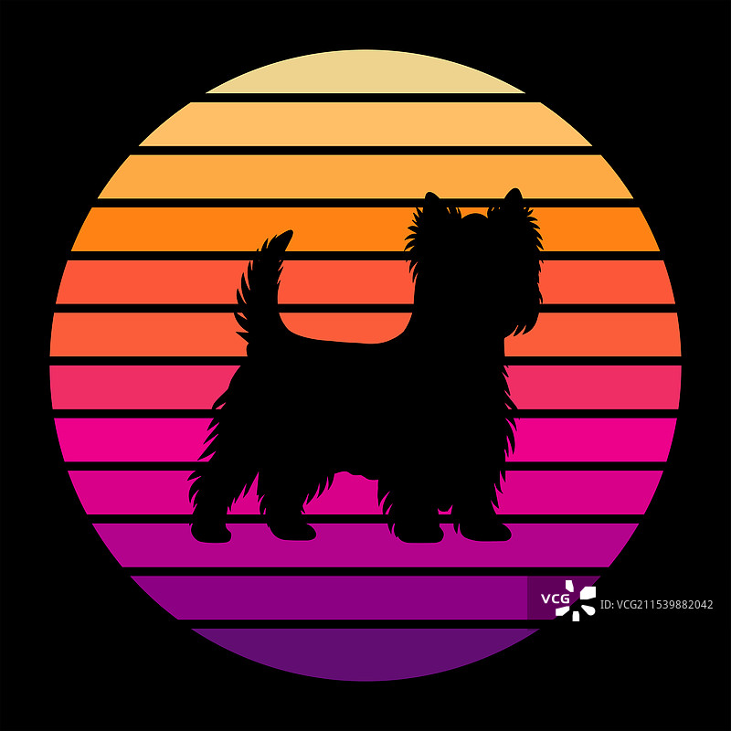 西高地白梗复古日落图片素材