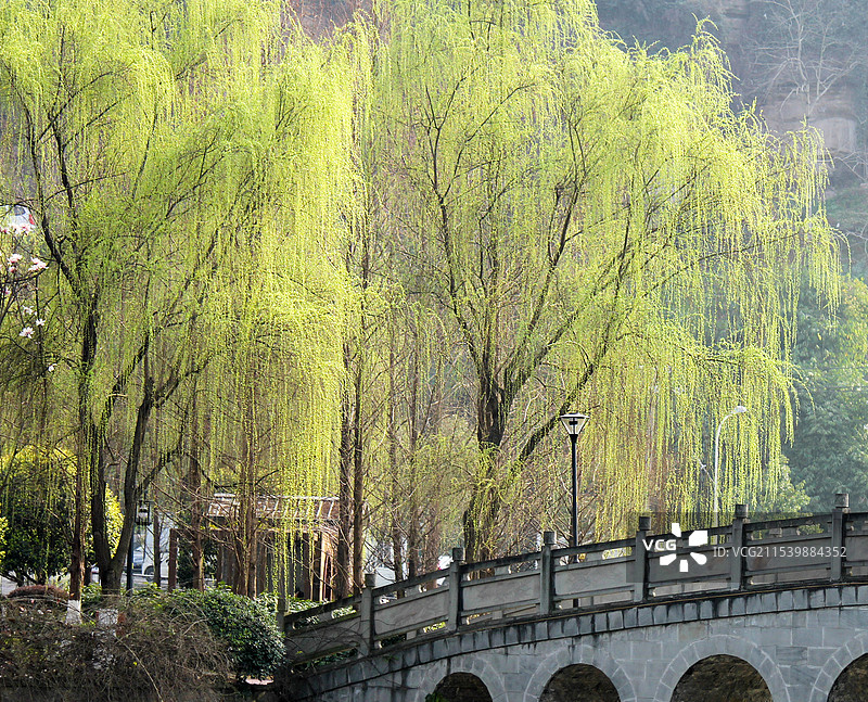 春天来啦图片素材