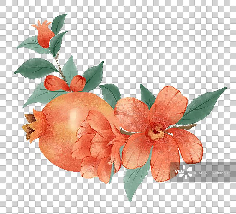 石榴花 花卉图片素材
