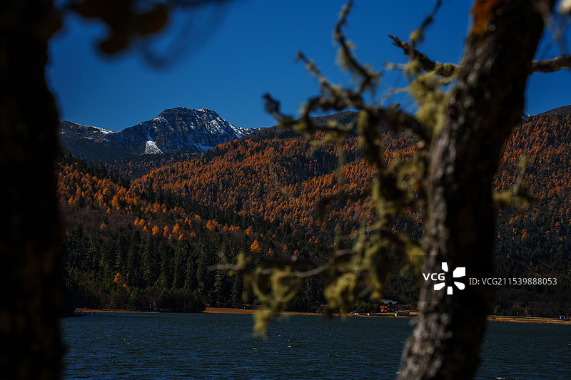 普达措森林公园与纳帕海图片素材