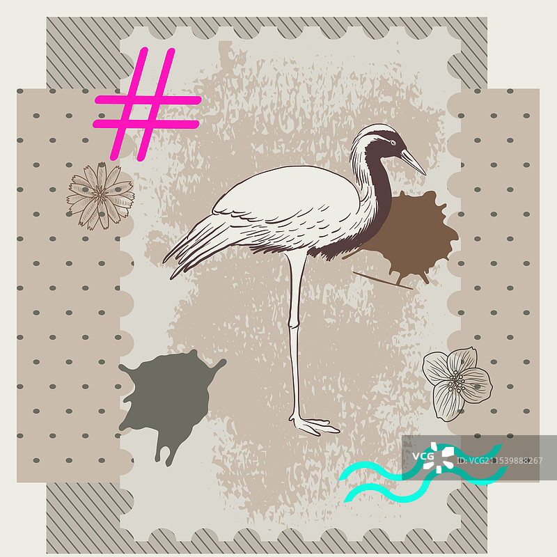 鸟类拼贴画图片素材