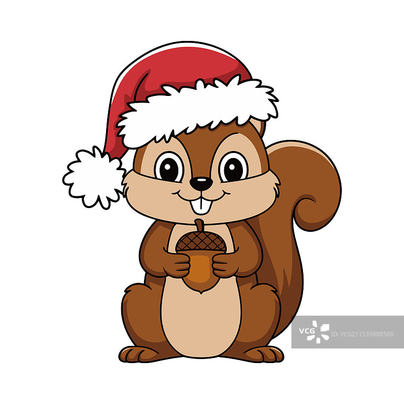 可爱的圣诞松鼠戴着圣诞老人帽图片素材
