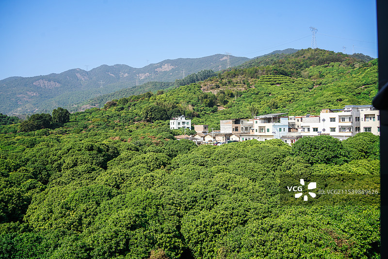 从化温泉村自然风光可爱动物图片素材