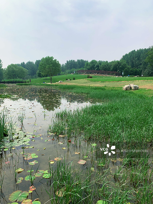 房山滨水森林公园图片素材