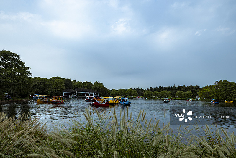 共青森林公园的湖光山色图片素材