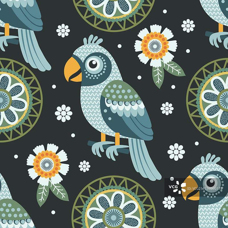 明亮的鹦鹉在黑色背景上图片素材