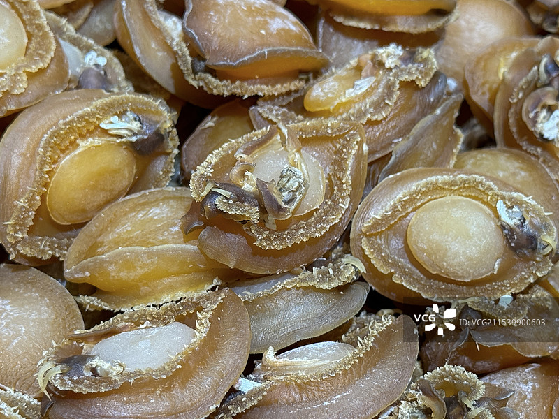 干鲍鱼图片素材