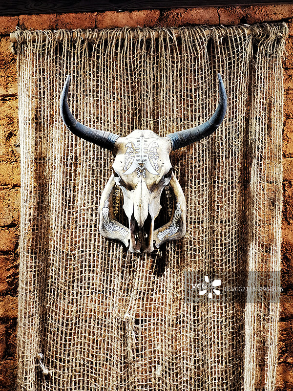 爱伲人风俗牛头骨挂饰图片素材