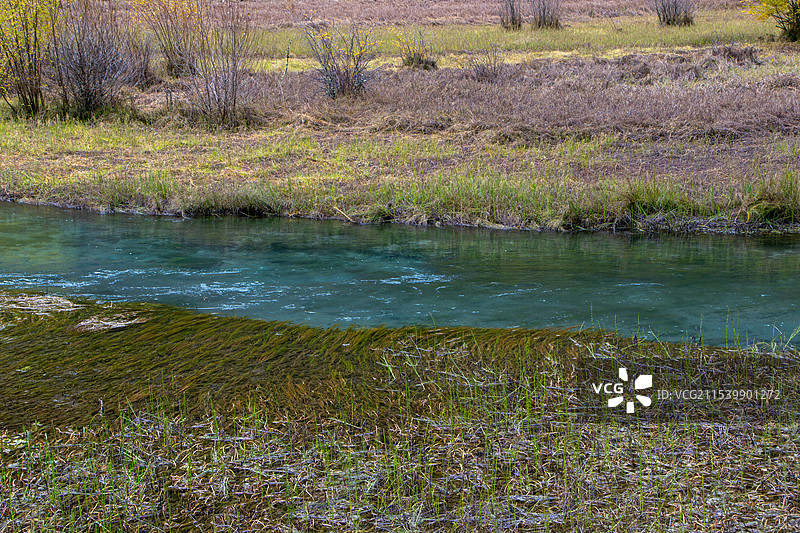 四川阿坝州川西九寨沟箭竹海秋色，溪流青草地图片素材