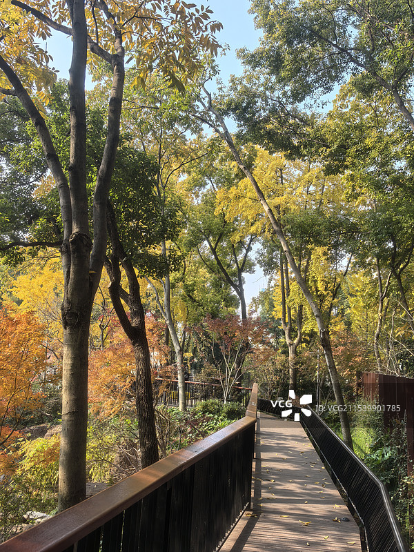 海德里公园图片素材