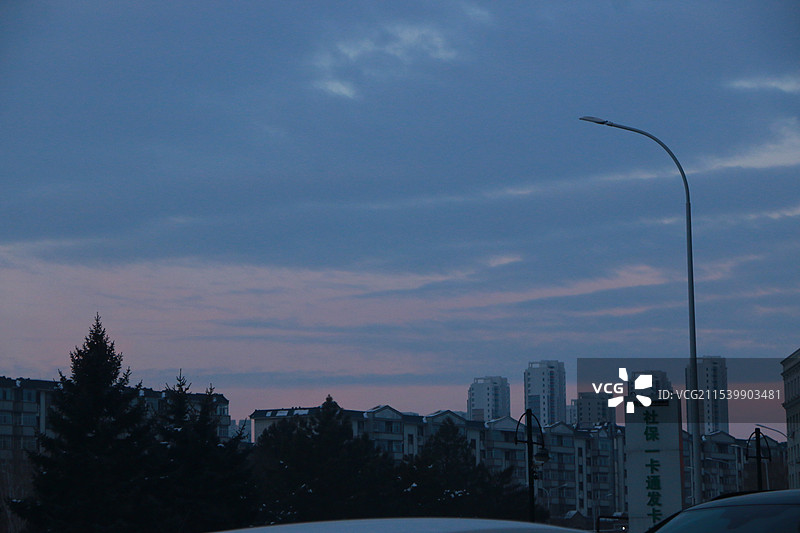 齐齐哈尔--扎龙丹顶鹤-早市图片素材