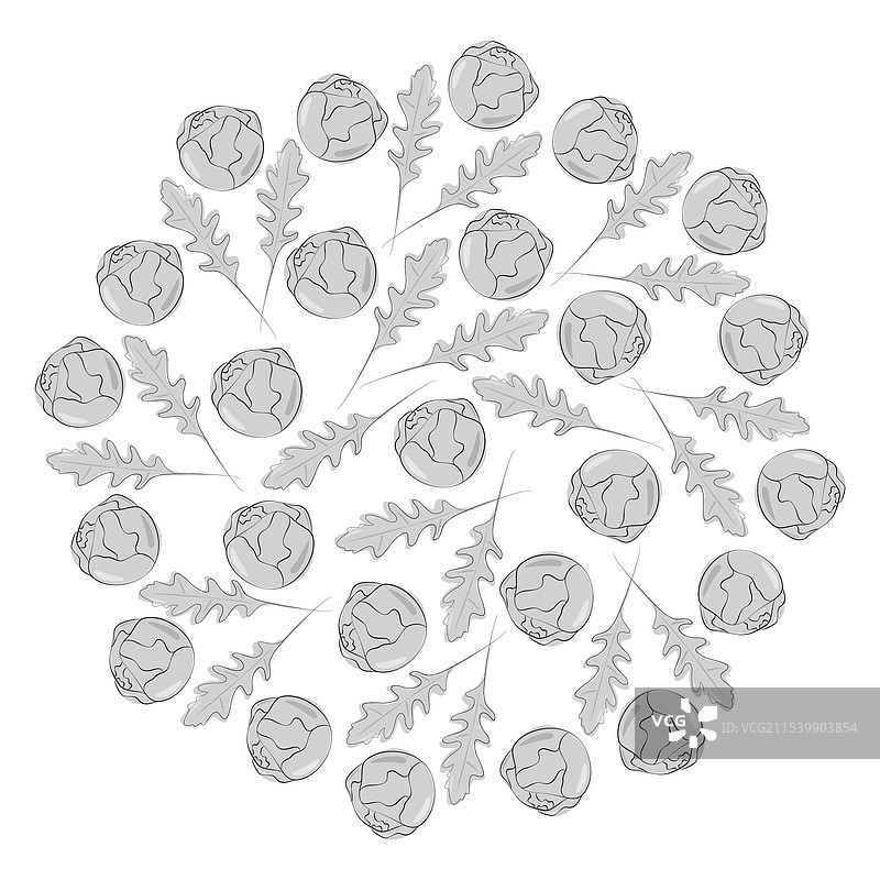 芝麻菜叶和布鲁塞尔芽菜的灰度图像图片素材