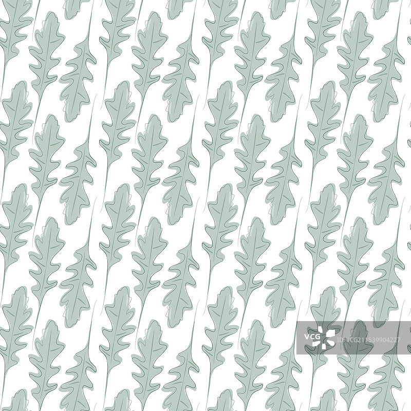 时尚的水彩风格芝麻菜叶图片素材