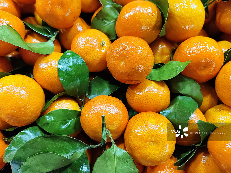 市场售卖的 沙糖桔 沙糖橘 小桔子 小橘子 无籽蜜橘图片素材
