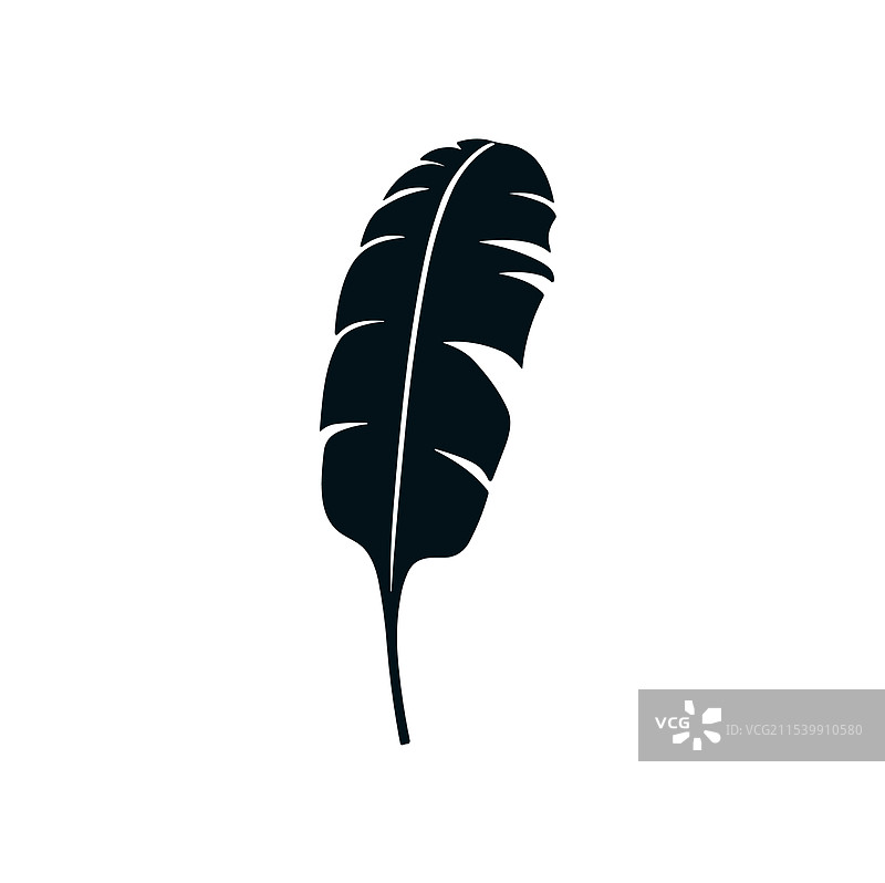 热带棕榈叶剪影图标丛林夏季图片素材