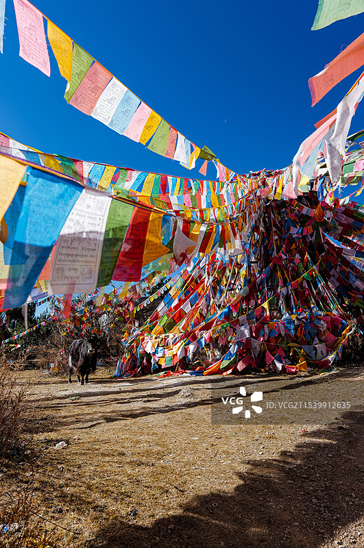 独克宗古城百鸡寺的经幡图片素材