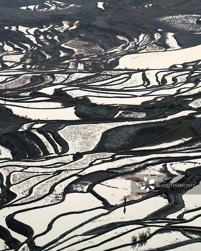 云南红河州元阳哈尼梯田自然风光图片素材