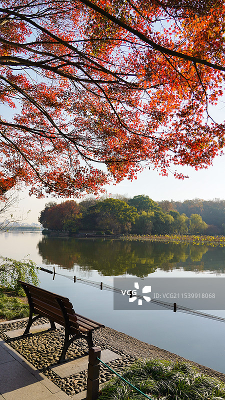 杭州秋日杨公堤图片素材