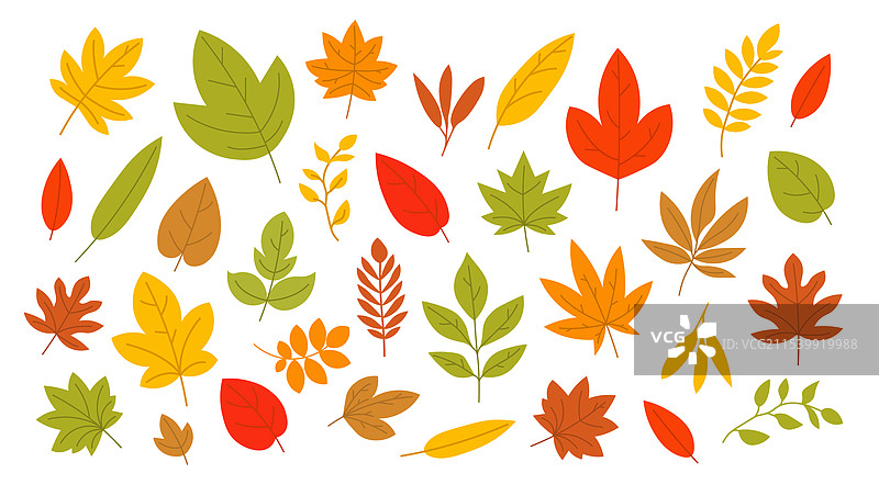 五彩斑斓的秋叶以各种形状飘落图片素材