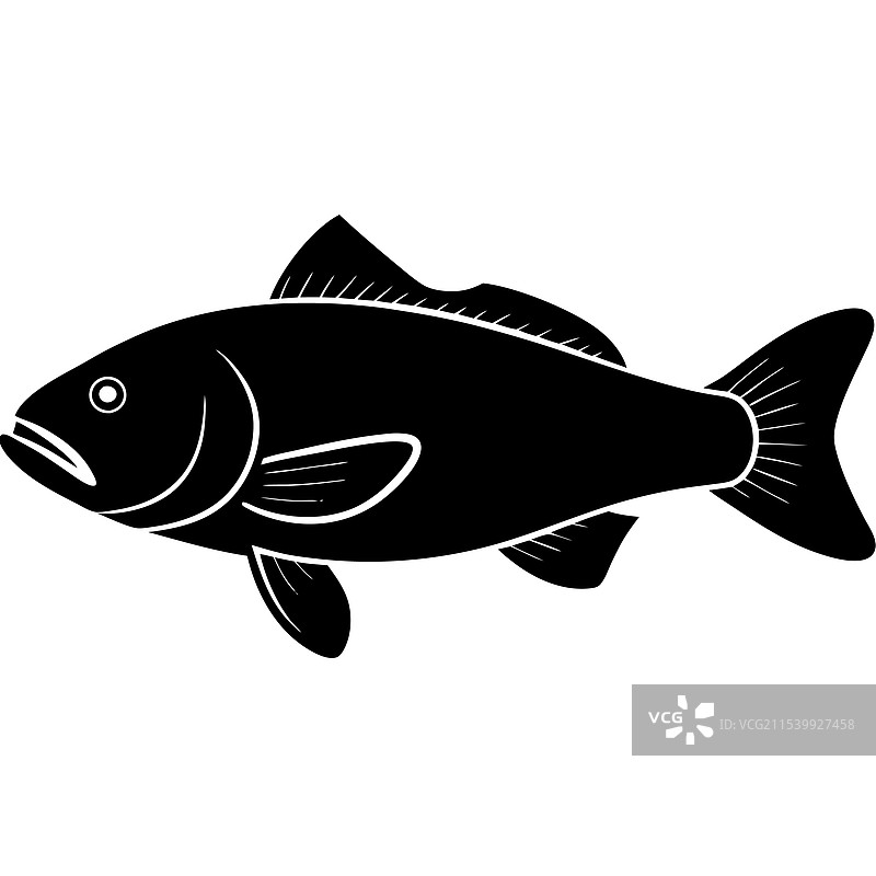 巴拉曼迪鱼剪影艺术图片素材