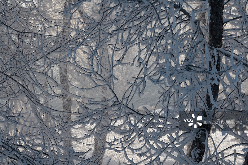 新疆冬天雾凇风景图片素材