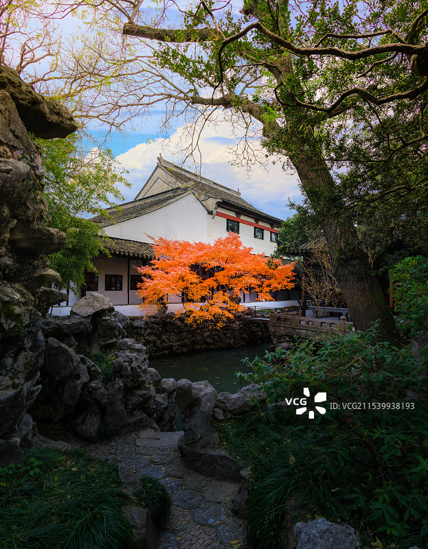 怡园槭梦图片素材