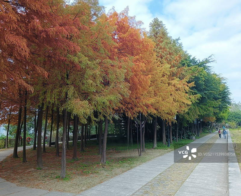 赤橙黄绿青蓝紫图片素材