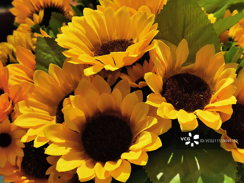 布艺向日葵图片素材