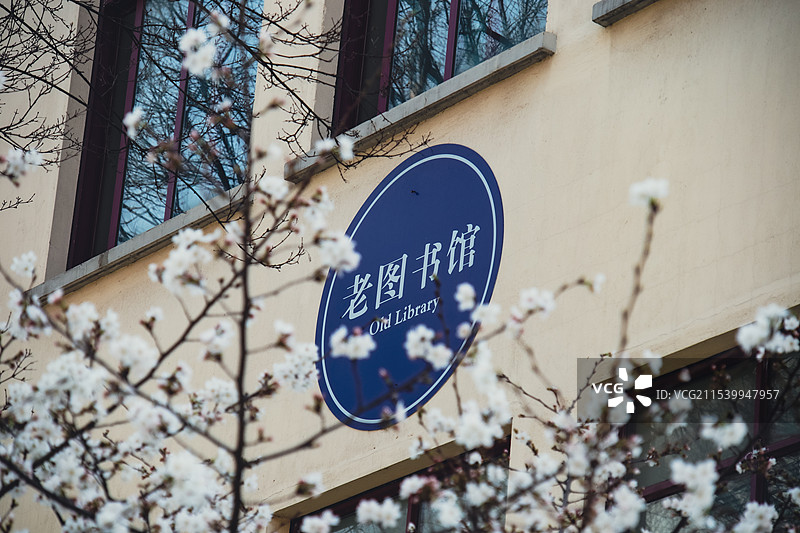 南京林业大学樱花图片素材