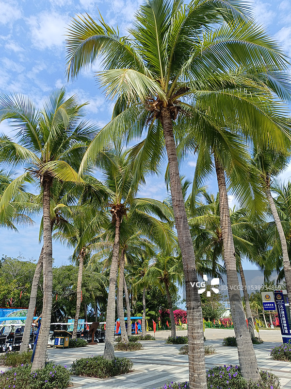 大小洞天美景图片素材