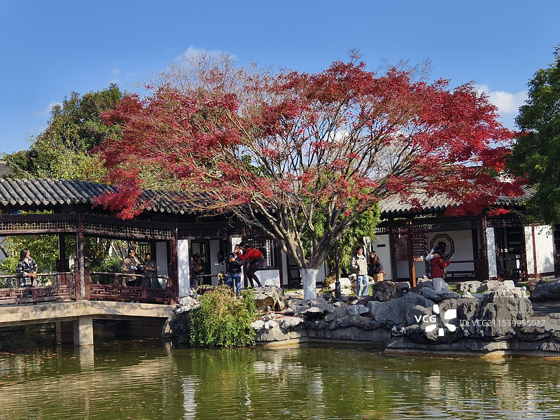 塔园秋色图片素材