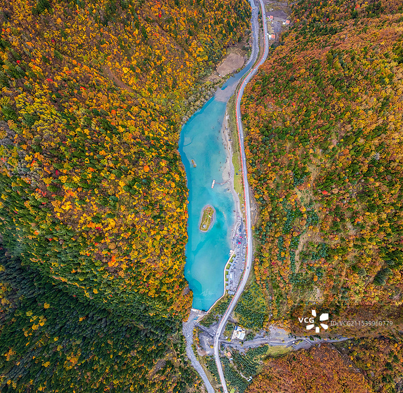 航拍秋天的森林图片素材