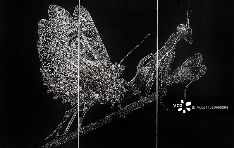 《殇》黑白木刻图片素材