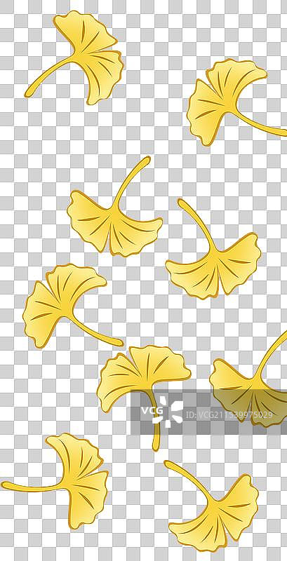 唯美金色银杏叶透明底图片素材