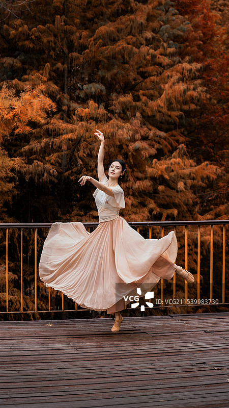 初冬的舞蹈图片素材