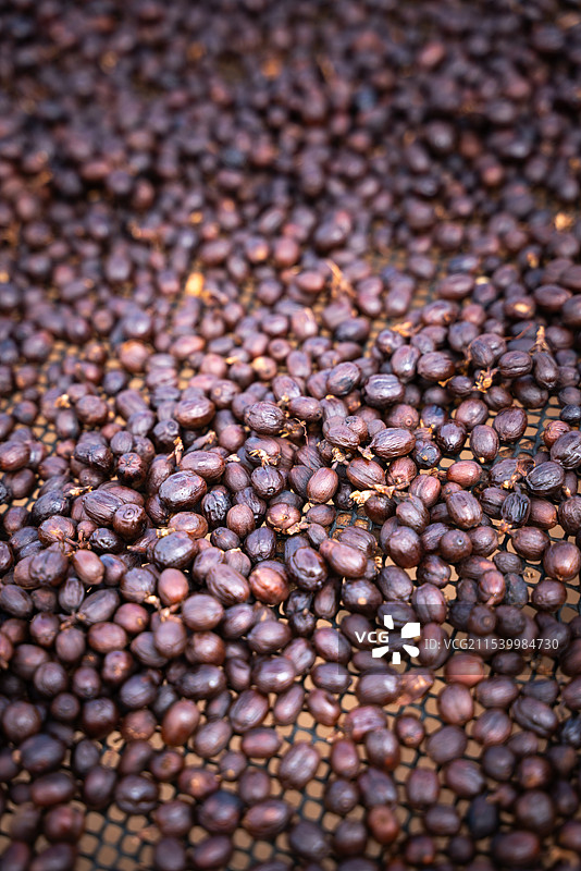 咖啡豆图片素材