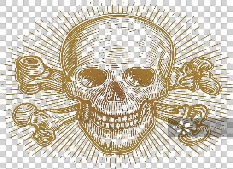 带光芒的人类骷髅与骷髅头交叉骨图案图片素材