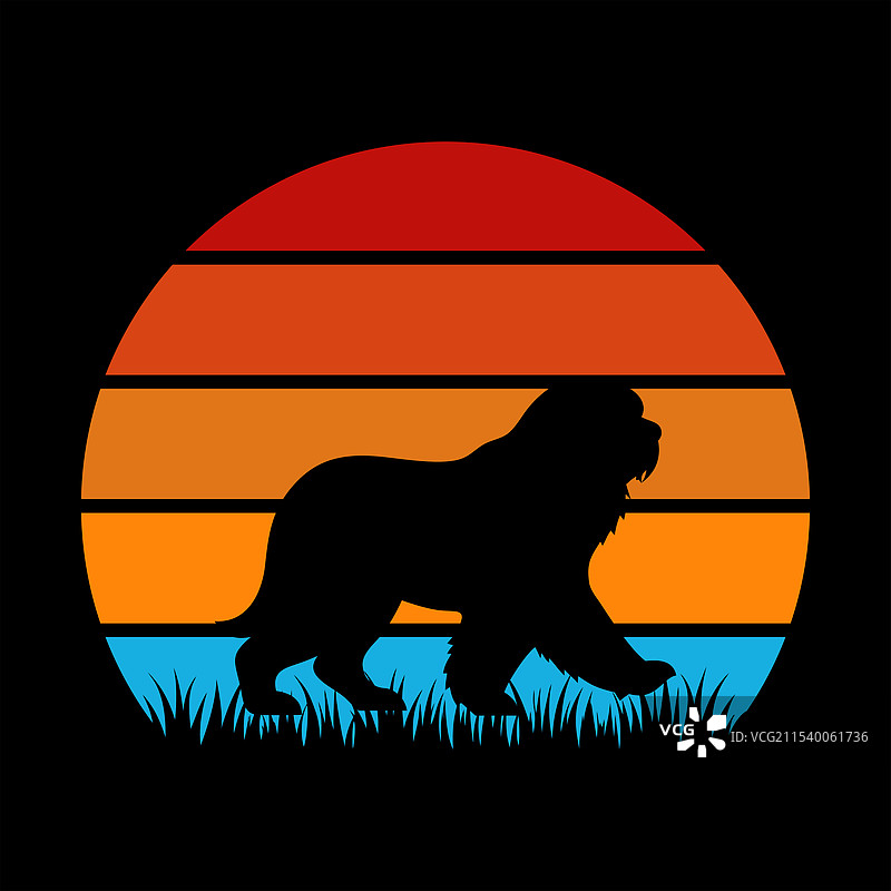 复古日落中的老英格兰牧羊犬图片素材