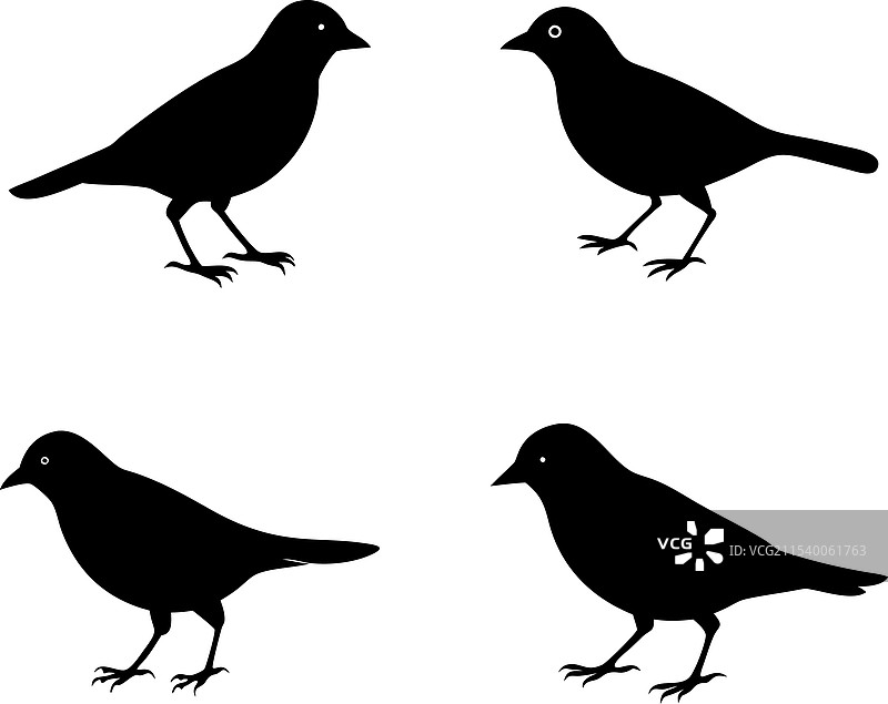 牛鸟的剪影图片素材