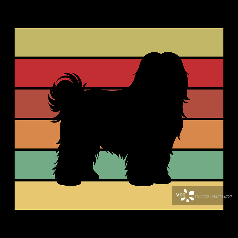 复古的老英牧图片素材