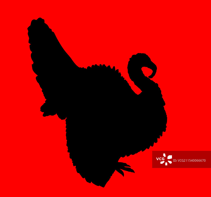 孤立的野生火鸡剪影图片素材