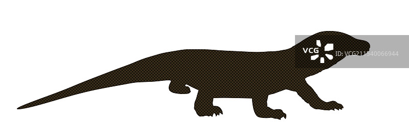 科莫多龙轮廓孤立图像图片素材