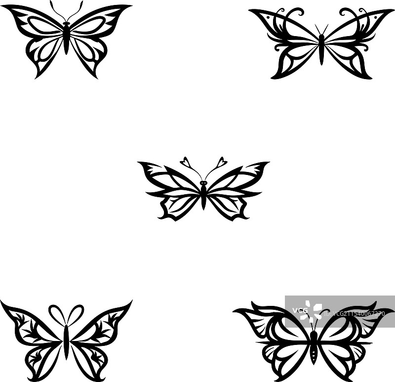 蝴蝶分裂单字母组合图片素材