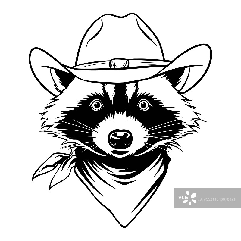 黑白色的浣熊牛仔图片素材