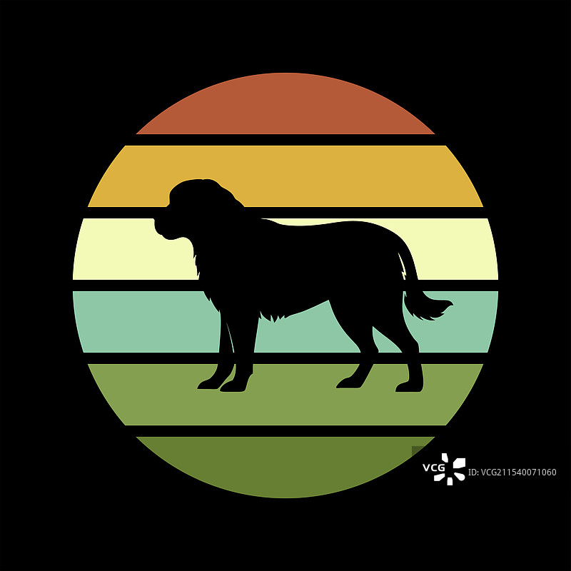 圣伯纳犬复古日落图片素材