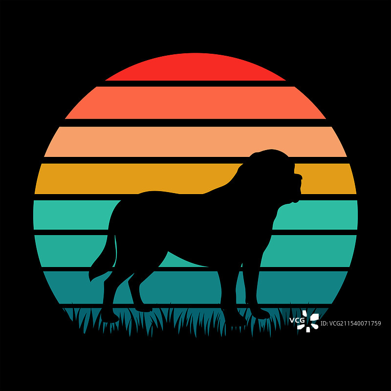 圣伯纳犬复古日落图片素材