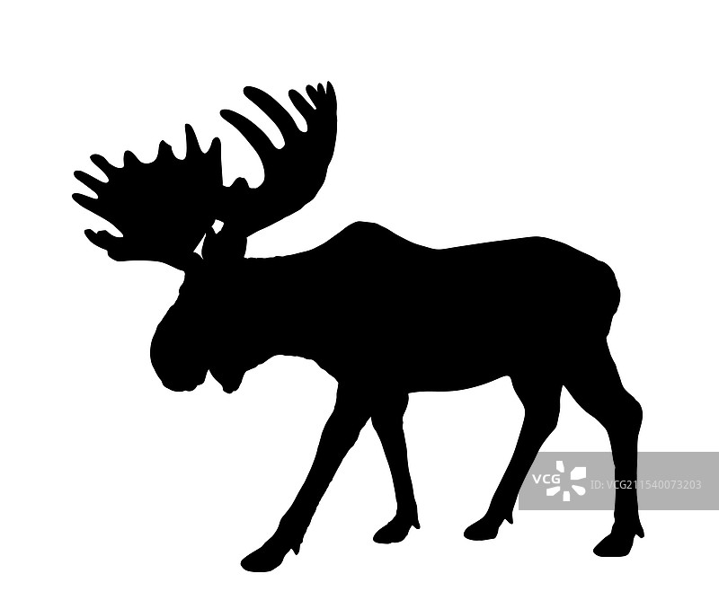 孤立的驼鹿剪影图片素材
